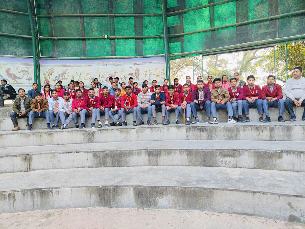 Image-6
